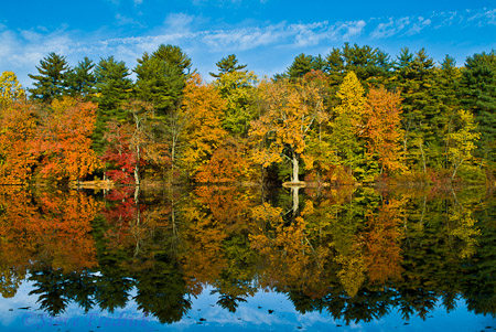 Fall Color and Reflection